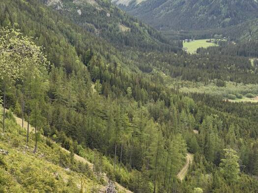 Jagdrevier zum Kauf 3.000.000 m² Grundstück Kapfenberg 8600