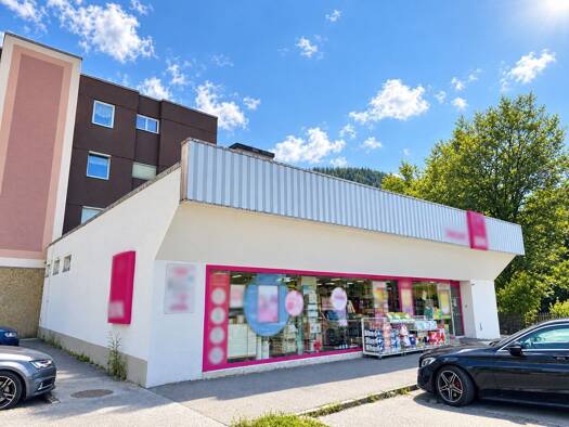 Ladenfläche zur Miete 2,56 € 290 m² Verkaufsfläche Trieben 8784