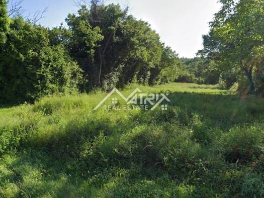 Land-/Forstwirtschaft zum Kauf 103.000 € Barban Barban