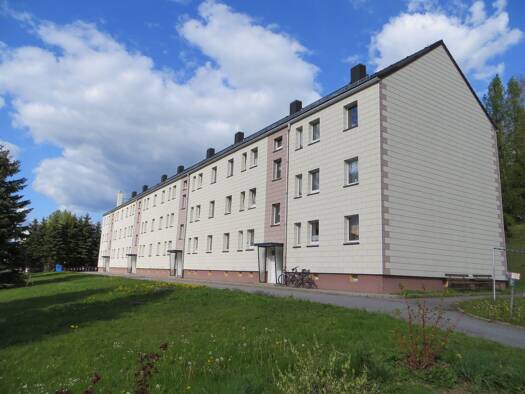 Wohnung zur Miete 290 € 3 Zimmer 57 m² Geschoss 2/3 frei ab sofort Neubauring 14 Lichtenberg Lichtenberg/Erzgeb. 09638