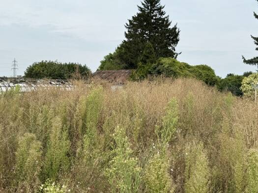 Grundstück zum Kauf 6.175 m² Grundstück Fischenich Hürth 50354