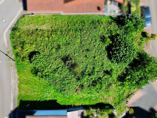 Grundstück zum Kauf 115.000 € 558 m² Grundstück Völkersweiler 76857