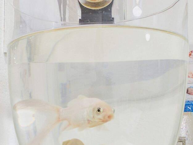 Wohnung zum Kauf 355.000 € 5 Zimmer 106 m² 3. Geschoss Immendingen 78194