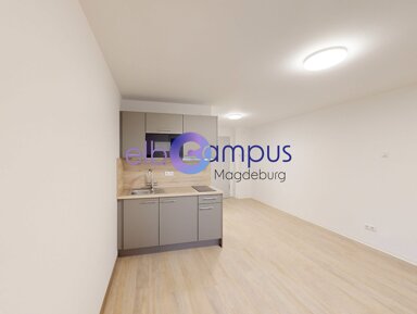 Wohnung zur Miete 490 € 1 Zimmer 27 m² 1. Geschoss frei ab 16.05.2025 Rogätzer Straße 87 Alte Neustadt Magdeburg 39106