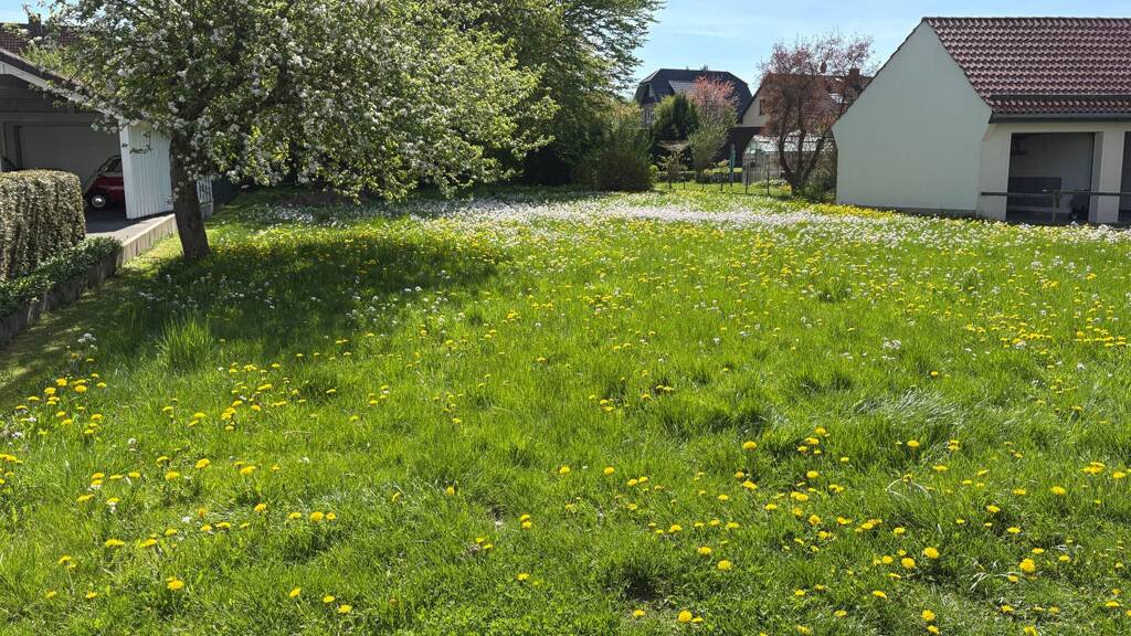 Grundstück zum Kauf 120.000 € 816 m² Grundstück Horn Horn-Bad Meinberg 32805