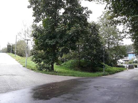 Grundstück zum Kauf provisionsfrei 299 € 397 m² Grundstück Baumannweg Vöcklabruck 4840