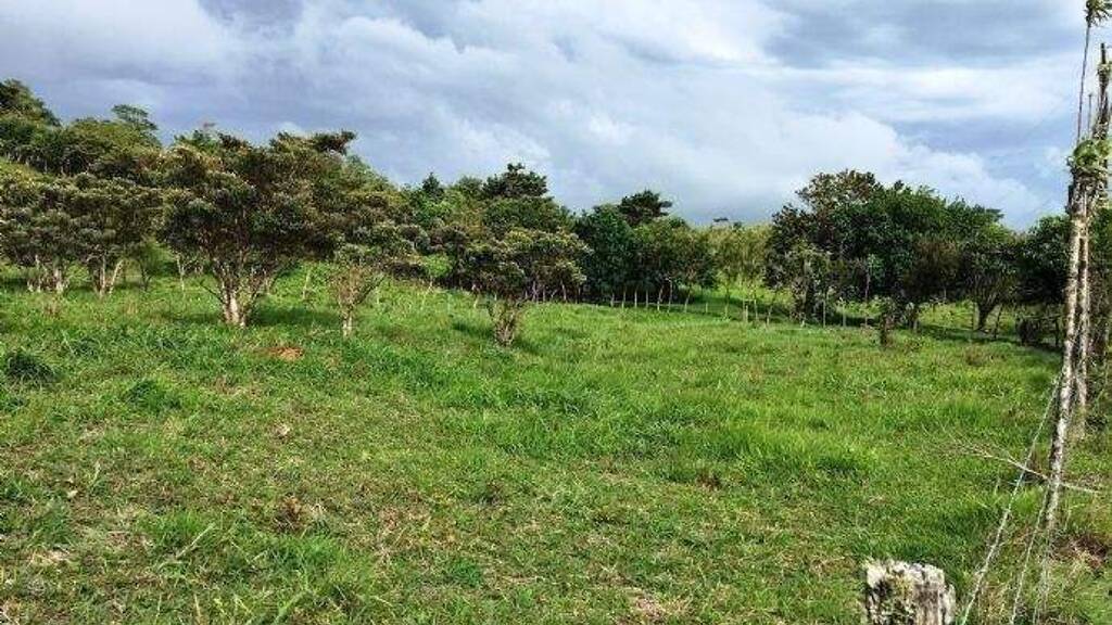 Landhaus zum Kauf 138.000 $ 25.000 m² Grundstück Arenal