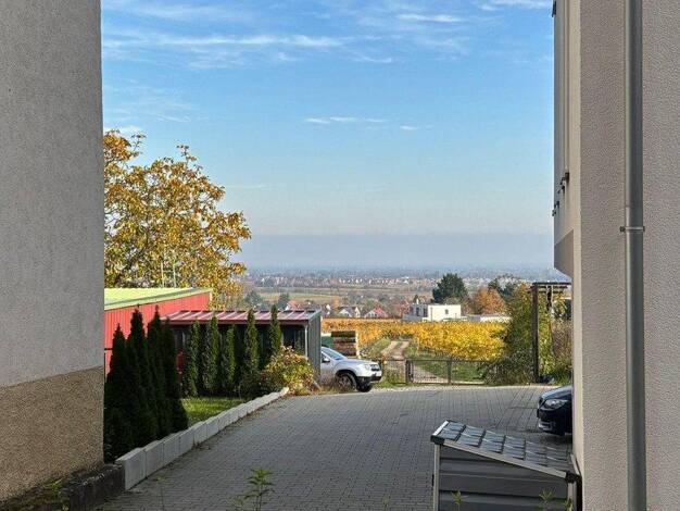 Wohnung zur Miete 1.150 € 2 Zimmer 86 m² EG Mandelring 24 Haardt Neustadt an der Weinstraße 67433