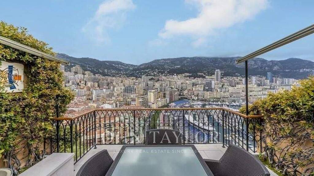 Haus zum Kauf 28.000.000 € 346 m² Monaco