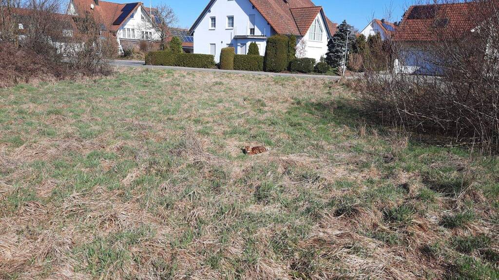 Grundstück zum Kauf provisionsfrei 395.000 € 893 m² Grundstück Baugenehmigung vorhanden Zur Mittelau 13d Mühlhausen 92360