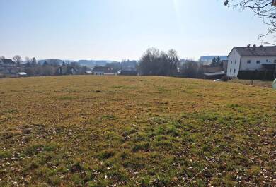 Land-/Forstwirtschaft zum Kauf 27.300 m² Grundstück Herrnfelden Vilsbiburg 84137