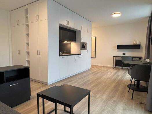 Studio zur Miete 920 € 1 Zimmer 33,2 m² 6. Geschoss frei ab sofort Billhorner Kanalstraße 49 Rothenburgsort Hamburg 20539
