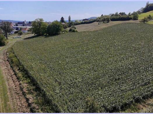 Grundstück zum Kauf 100 € 3.000 m² Grundstück Feldbach 8330