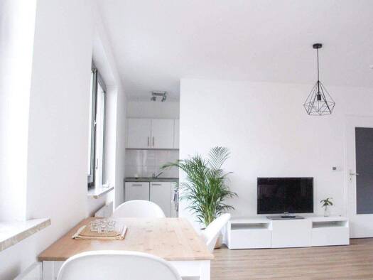 Wohnung zur Miete 795 € 1 Zimmer 36 m² frei ab sofort Untere Kanalstraße 4 Gostenhof Nürnberg 90429