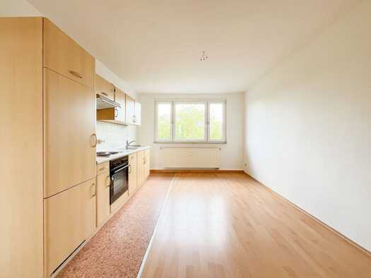 Wohnung zur Miete 235 € 2 Zimmer 59,9 m² 4. Geschoss Zaderastraße 74 Westend Plauen 08523
