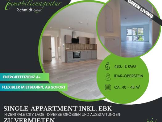 Studio zur Miete 480 € 1 Zimmer 40,6 m² 1. Geschoss Idar-Oberstein 55743