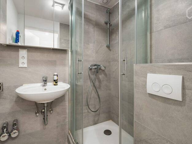 Studio zur Miete Wohnen auf Zeit 720 € 1 Zimmer 29 m² frei ab sofort Ingelheim am Rhein 55263