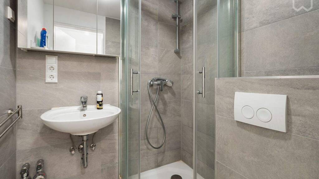 Studio zur Miete Wohnen auf Zeit 720 € 1 Zimmer 29 m² frei ab sofort Ingelheim am Rhein 55263