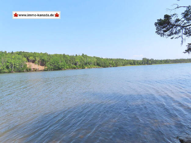 Grundstück zum Kauf 46.300 € 15.950 m² Grundstück Lower River Road / Port Malcolm Road Hureauville 010