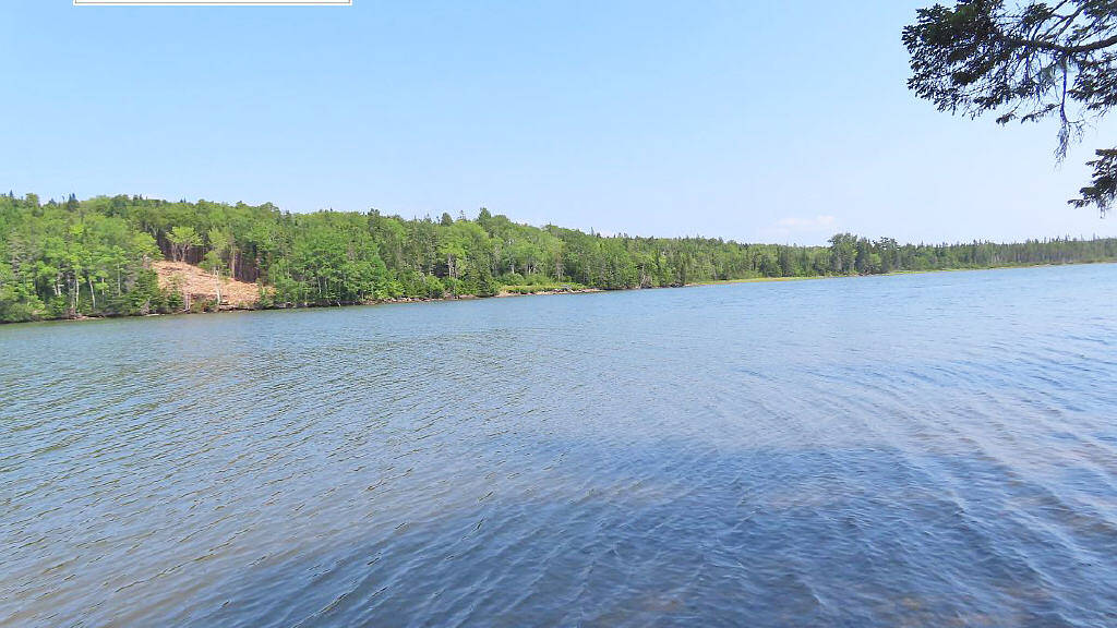 Grundstück zum Kauf 46.300 € 15.950 m² Grundstück Lower River Road / Port Malcolm Road Hureauville 010