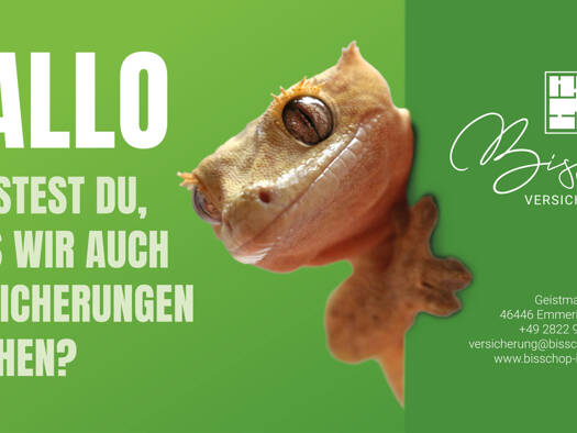 Einfamilienhaus zum Kauf Emmerich Emmerich am Rhein 46446