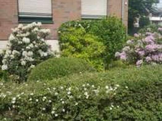 Maisonette zur Miete 1.150 € 2,5 Zimmer 81 m² Geschoss 2/2 frei ab 01.04.2026 Holthausen Düsseldorf 40589