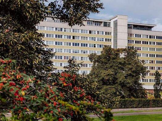 Wohnung zur Miete 511 € 4 Zimmer 75,1 m² 8. Geschoss frei ab 01.04.2026 Stadtpromenade 10 Mitte Cottbus 03046