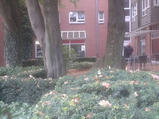 Wohnung zur Miete 575 € 2 Zimmer 63,8 m² Geschoss 3/4 frei ab 01.05.2026 Buchholz Buchholz in der Nordheide 21244