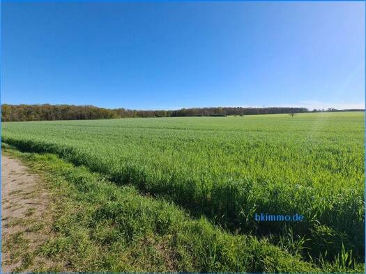 Land-/Forstwirtschaft zum Kauf 59.000 € 33.800 m² Grundstück Trinum Chörau 06386