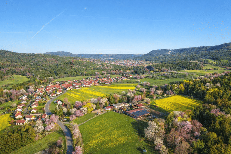 Landwirtschaftliche Fläche zum Kauf - Ansicht 2