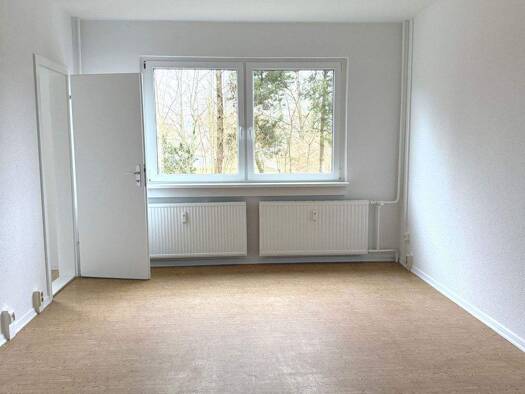Wohnung zur Miete 243 € 1 Zimmer 30 m² EG frei ab sofort Keplerstraße 10 Mueßer Holz Schwerin 19063