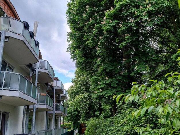 Maisonette zum Kauf provisionsfrei 350.000 € 3 Zimmer 67 m² 2. Geschoss Rahlstedt Hamburg 22145