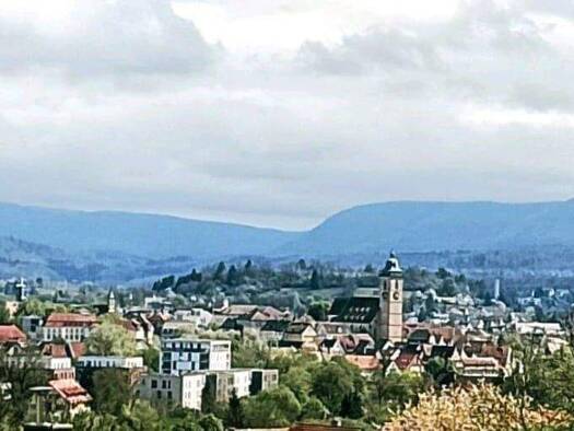 Haus zum Kauf 996.000 € 11 Zimmer 598 m² Grundstück frei ab sofort Oberensingen Nürtingen 72622