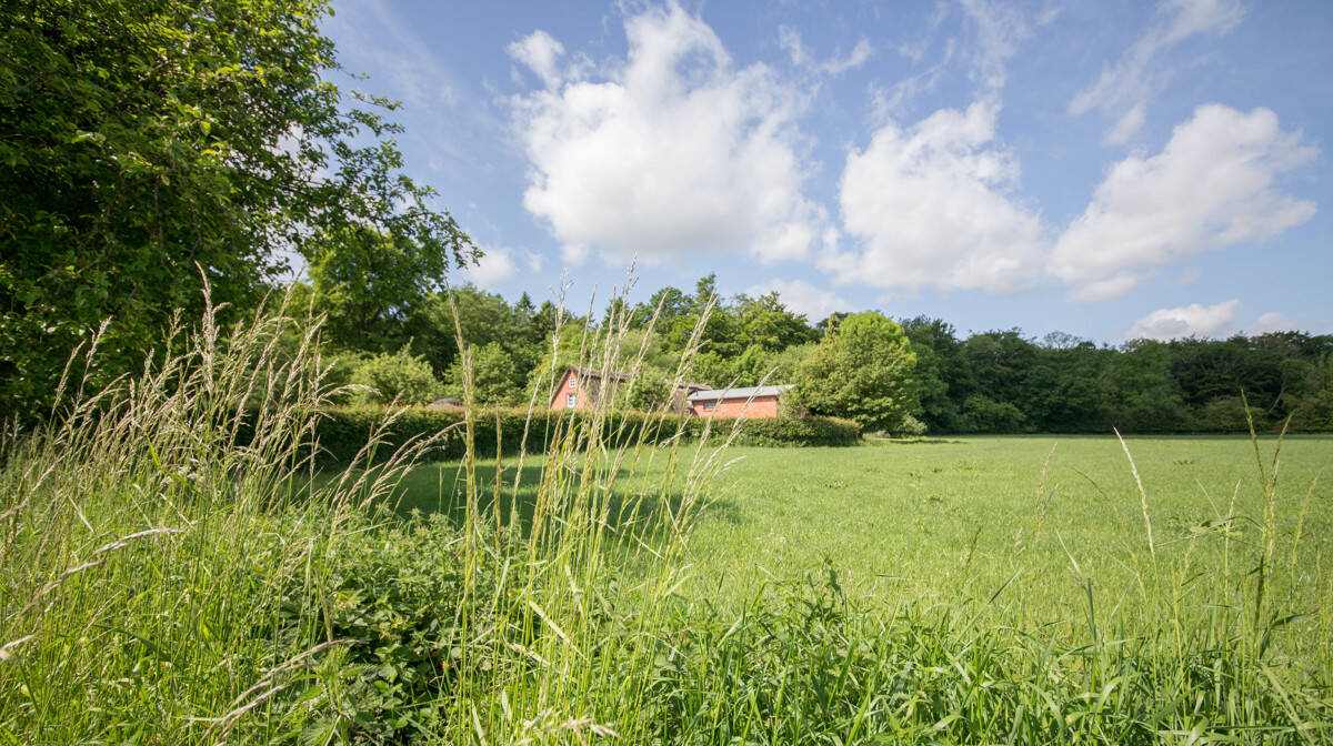 Mehrfamilienhaus zum Kauf - Ansicht 5