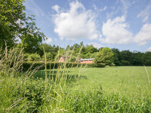 Mehrfamilienhaus zum Kauf 560.000 € 9 Zimmer 223 m² 22.062 m² Grundstück Gelting 24395