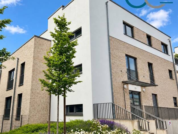 Penthouse zur Miete 960 € 2 Zimmer 75 m² 3. Geschoss frei ab 01.02.2027 Nienburg Nienburg (Weser) 31582