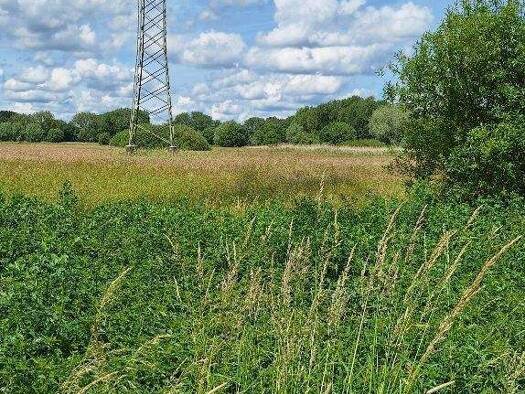 Landwirtschaftliche Fläche zum Kauf als Kapitalanlage geeignet 8.965 € 1.630 m² Grundstück Veltenhof Veltenhof - Rühme 38112