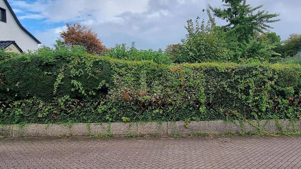 Grundstück zum Kauf 285.000 € 443 m² Grundstück Kray Essen 45307