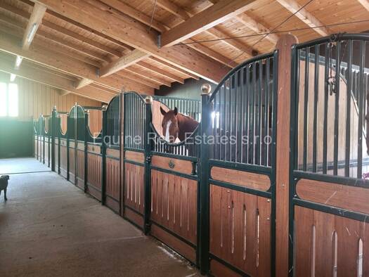 Reiterhof zum Kauf 70.000 m² Grundstück Baden 2500