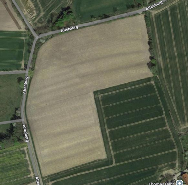 Landwirtschaftliche Fläche zur Versteigerung provisionsfrei 16 € 65.000 m² Grundstück Altenburg Laer Laer 48366