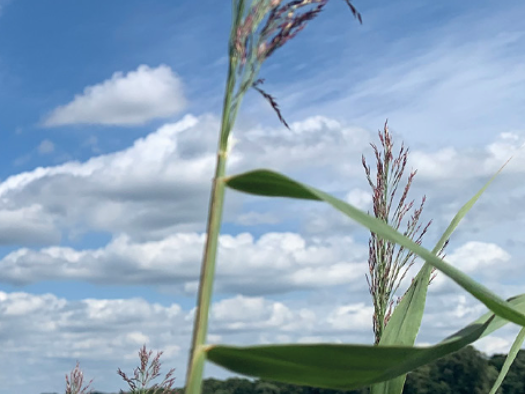 Wohnung zum Kauf provisionsfrei 196.000 € 2 Zimmer 56 m² EG Neuruppin 16816