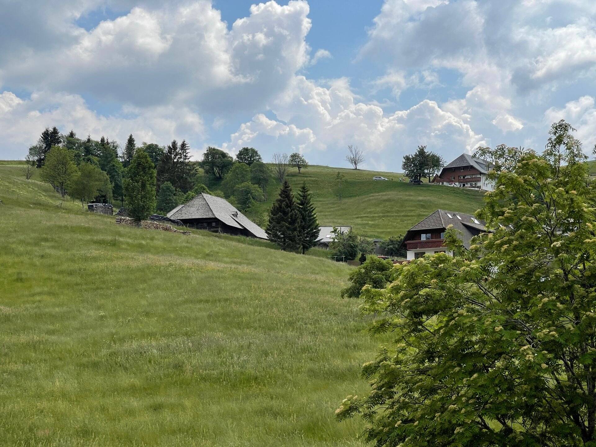Immobilie in Oberried - Willkommen in Ihrem neuen Domizil: Vollmöblierte Wohnung "Wanderlust" - Bild 4