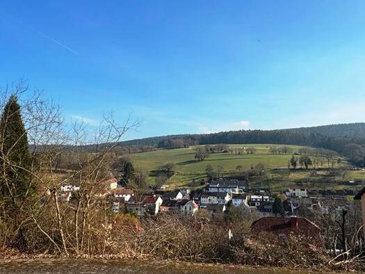 Grundstück zum Kauf 130.000 € 992 m² Grundstück Seckmauern Lützelbach 64750