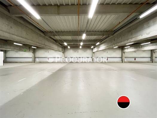 Lagerhalle zur Miete 18.600 m² Lagerfläche teilbar ab 5.800 m² Bad Oldesloe 23843