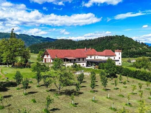 Schloss zum Kauf 7.950.000 € 950 m² 206.745 m² Grundstück Völkermarkt 9100