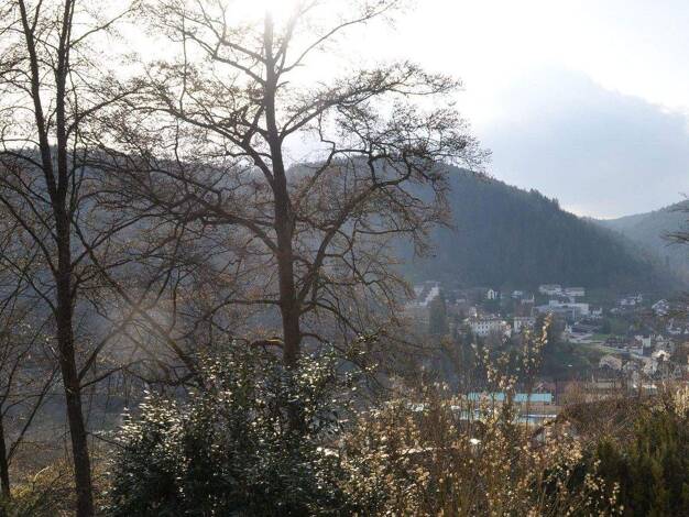 Mehrfamilienhaus zum Kauf provisionsfrei 1.019.000 € 20 Zimmer 653 m² 1.470 m² Grundstück Bad Liebenzell 75378