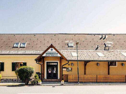 Mehrfamilienhaus zum Kauf 590.000 € 1.100 m² Grundstück Kaindorf 8430