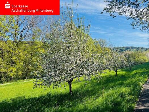 Grundstück zum Kauf 299.000 € 1.171 m² Grundstück Laufach 63846