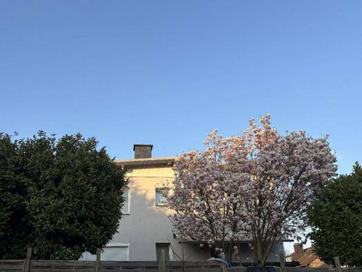 Mehrfamilienhaus zum Kauf als Kapitalanlage geeignet 798.000 € 13 Zimmer 327 m² 494 m² Grundstück Metzkausen Mettmann 40822