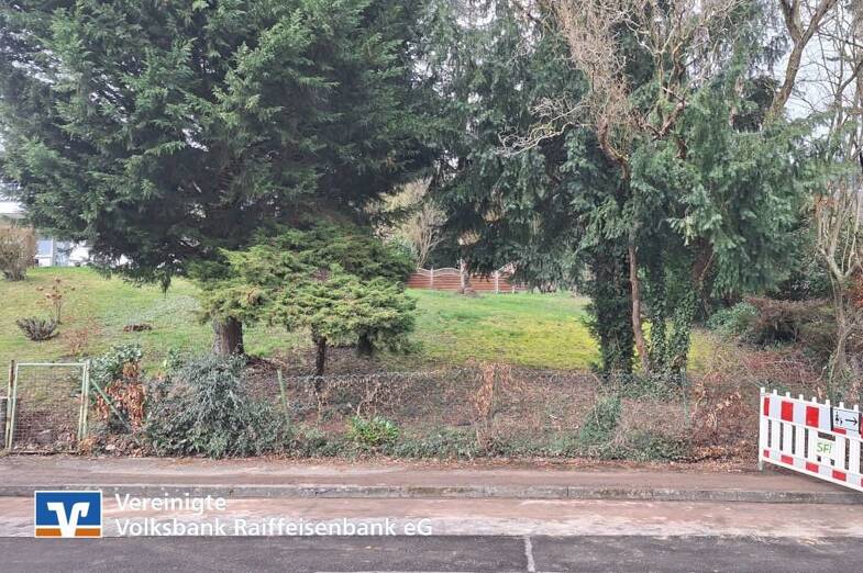 Grundstück zum Kauf 66.000 € 509 m² Grundstück Traben Traben-Trarbach-Traben 56841